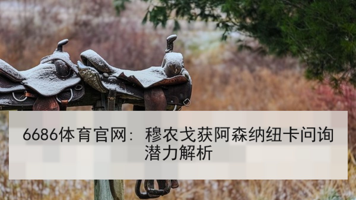 6686体育官网: 穆农戈获阿森纳纽卡问询潜力解析