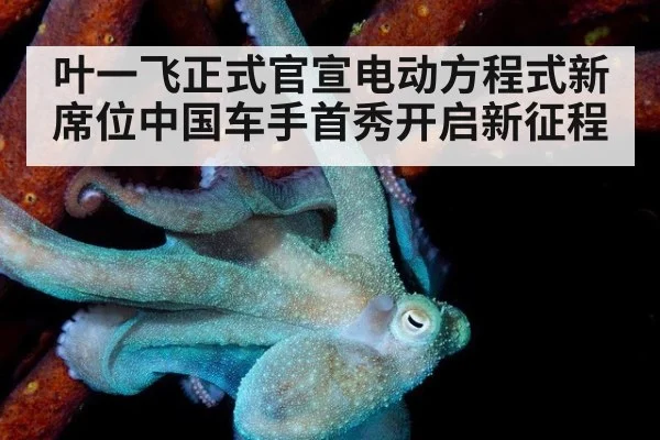 叶一飞正式官宣电动方程式新席位中国车手首秀开启新征程